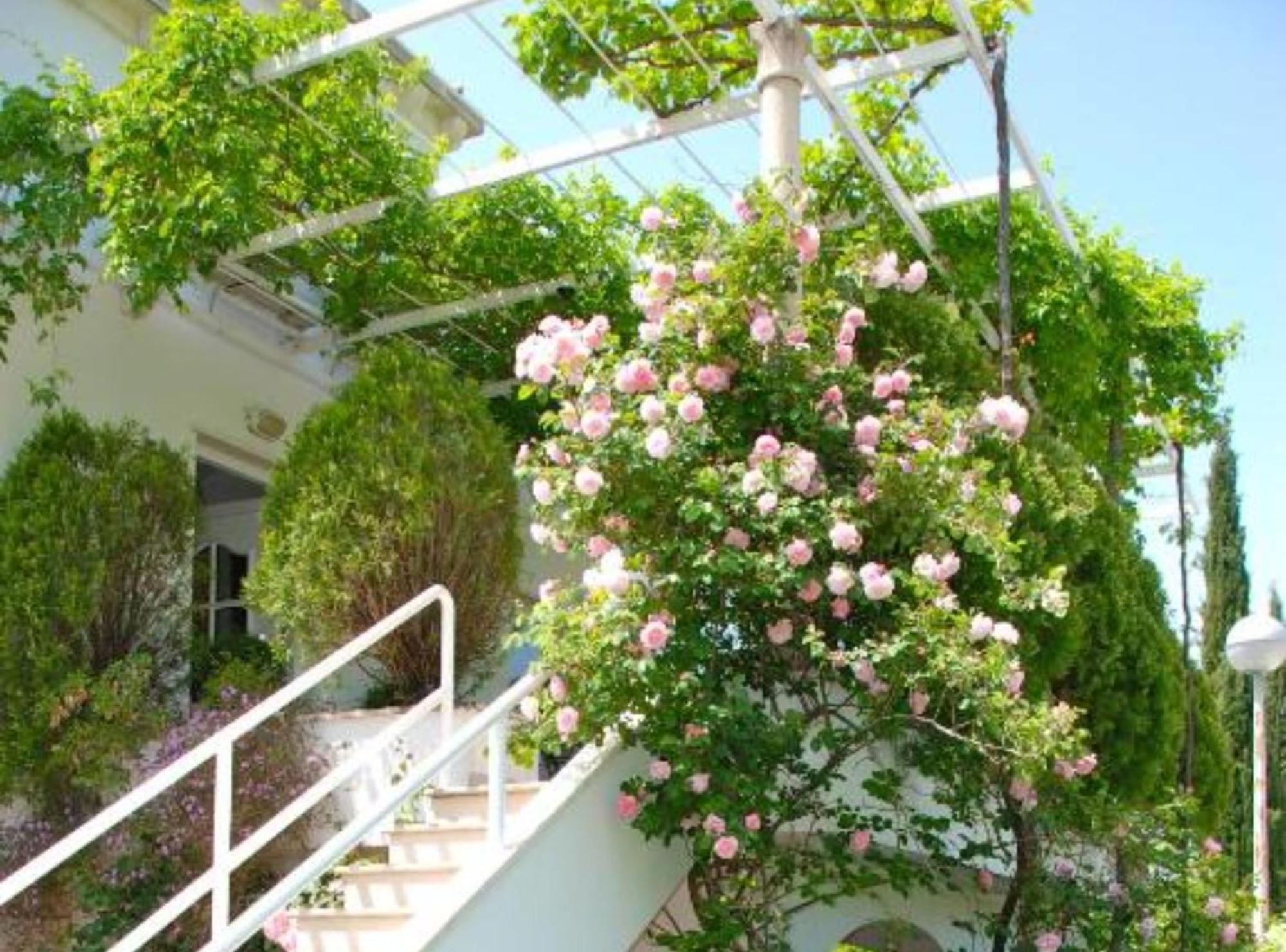 Villa Mediterranea Mlini Ngoại thất bức ảnh